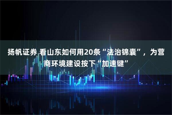 扬帆证券 看山东如何用20条“法治锦囊”，为营商环境建设按下“加速键”