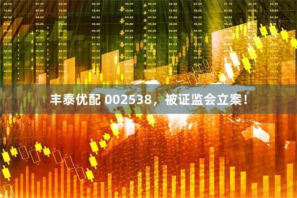 丰泰优配 002538，被证监会立案！
